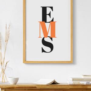 Affiche EMS
